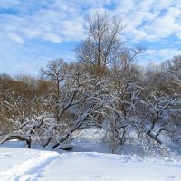 Зимний парк. :: Милешкин Владимир Алексеевич 