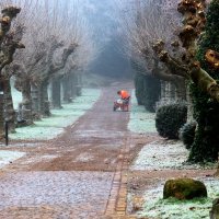 – Встал поутру, умылся, привел себя в порядок – и сразу же приведи в порядок свою планету. :: Юрий. Шмаков