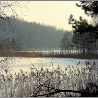 *** :: Aleksandr Gal