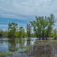 Половодье :: Владимир Жуков