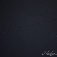 Природа Крыма :: Amazing Cosmea