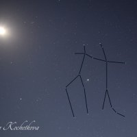 Природа Крыма :: Amazing Cosmea