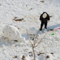 Снега мало, а работы ещё много :: Анатолий Чикчирный
