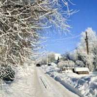 «Серебряная вуаль зимы» :: Арина Невская «Серебряная вуаль зимы» :: Арина Невская