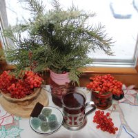 Мой дом :: Венера Чуйкова