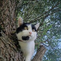 Дачная камера :: Лидия Меркулова