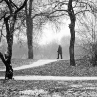Первый снег. :: Борис Бутцев