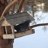 Мой город :: Венера Чуйкова Мой город :: Венера Чуйкова