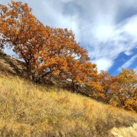 Осень в горах :: Мариша 