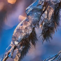 «Хрупкая красота зимы». :: Екатерина Счасная