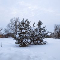 Зимний пейзаж :: Наталья ***