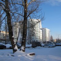 А зима будет большая... :: Татьяна Гнездилова