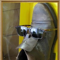 Ладно, выручу...когда хозяин ботинка бросил курить, а курить  сильно хочется...) :: Татьяна Гнездилова