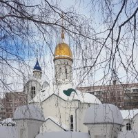 Храм Александра Невского :: Galina Solovova