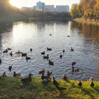 Серия Сашиных работ была  отмечена  на  конкурсе :: Фотогруппа Весна