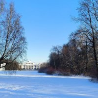 Февральский день на Елагином острове. :: Ольга 