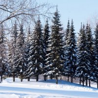 *** :: Владимир Безбородов