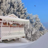 Зима в китайском стиле. :: Николай Рубцов