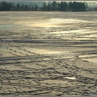 *** :: Aleksandr Gal