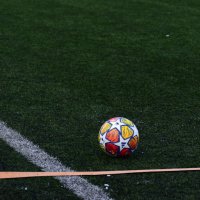 Минимализм по-футбольному. :: Наталья Вязигина