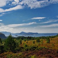 Norway 89 :: Arturs Ancans