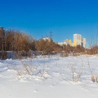 Заснеженный берег реки :: Александр Синдерёв Заснеженный берег реки :: Александр Синдерёв