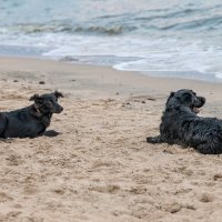 "О боже, какой мужчина!" :: Константин Бобинский