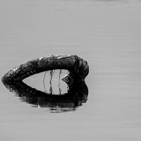 Сердце :: Владимир А.Р. 