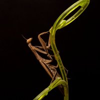 покоряя вершины :: Aleksandr 