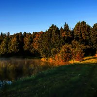 **** :: Владимир Безбородов