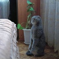 А что я вижу! :: Alex 711402