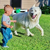 СЕЙЧАС ЛИЗНУ ТЕБЯ В МОРДАШКУ! :: Виталий Половинко