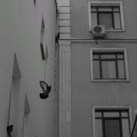 Прощание :: Сергей Матвеенко