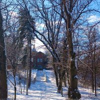 Парк Никольский :: Вячеслав Коломойцев Владимирович