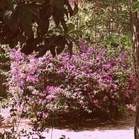 Барселона. :: Владимир Драгунский