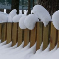 Снежная зима :: Ната Волга