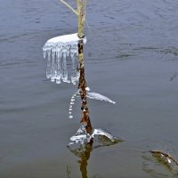 Творение природы. :: Михаил. 