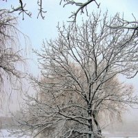 Над прудом :: Сергей Карачин