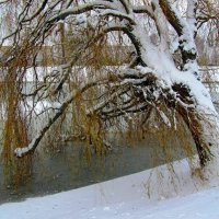 Наклонило голову :: Сергей Карачин