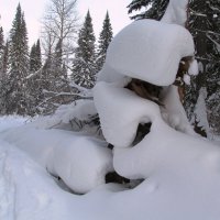 Зимние украшения :: Galaelina ***