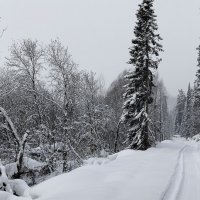 Дорога уходит в даль!!! :: Радмир Арсеньев
