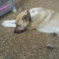 В морозный день... :: Наталья 