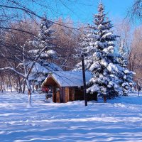 Избушка у ели :: Надежда Избушка у ели :: Надежда