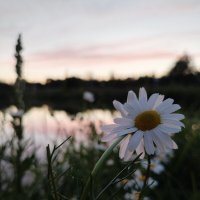 умиротворение :: Лидия Меркулова