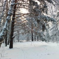 Пейзаж из таёжного города :: Василий Пейзаж из таёжного города :: Василий