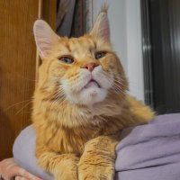 Василий. :: Борис Калитенко