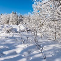 Под снежным покрывалом :: Александр Мезенцев