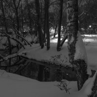 Вечер :: юрий поляков