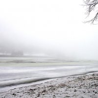 Туман в декабре. р.Сож :: Сергей Рожков