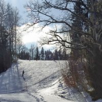 с горки с ветерком :: ИННА ПОРОХОВА